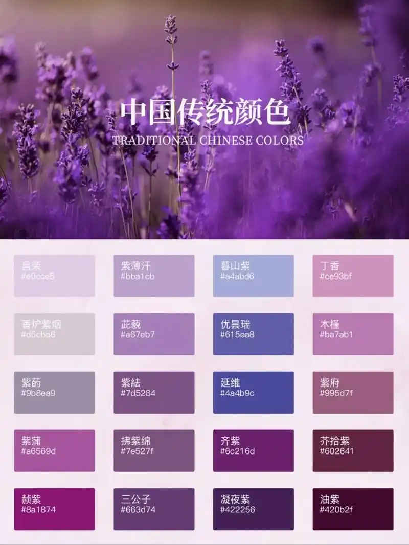 传统中国色|紫色系|有一种紫叫中国紫 紫色在中国传统色彩中是尊贵的