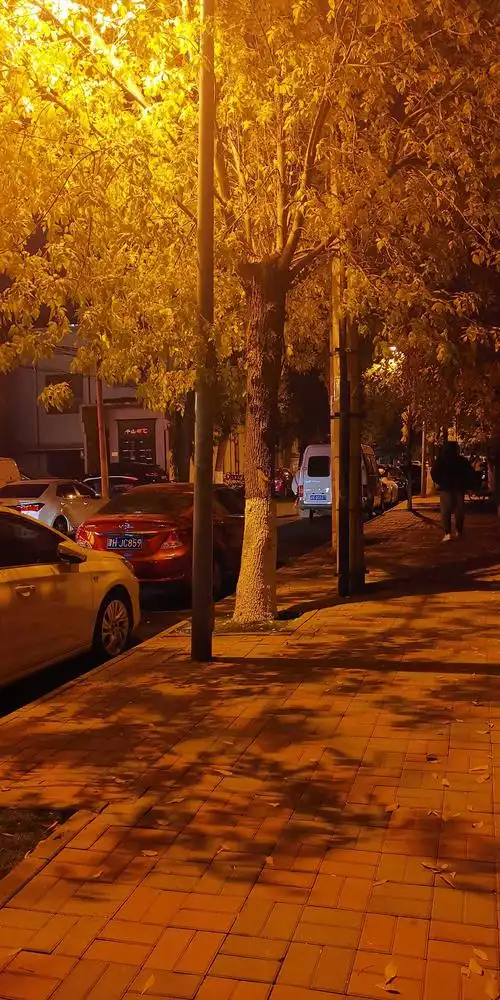 傍晚街道|摄影|风光摄影|清平么么哒 - 原创作品 - 站酷 (zcool)