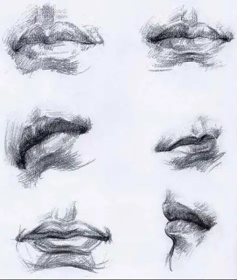 嘴部的透视变化: (由于嘴唇呈红色,初学者往往会把嘴唇画的过深过黑来