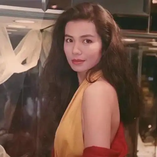 钟楚红1-以云为安最新章节-免费小说-全文免费阅读-以云为安作品-话本