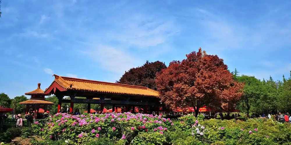 2019春日行(五)之二～洛阳中国国花园