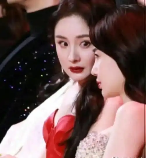 上海这一夜,两张合照,把对刘亦菲的"排挤"体现的淋漓尽致