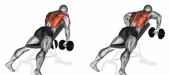 背部训练没感觉试试这六个动作扩大你的背阔肌