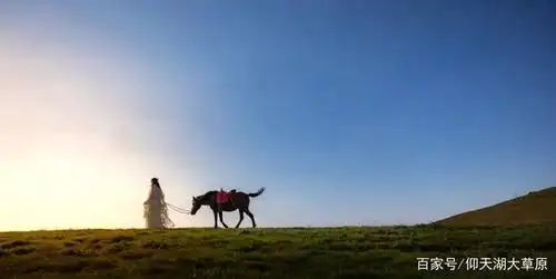 仰天湖大草原:想告诉你,夕阳下,靓仔多!