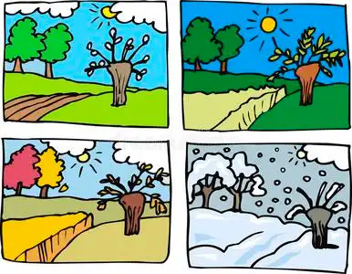 四季卡通插画照片