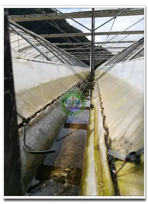 歌珊温室连栋温室大棚水槽内为什么会积水