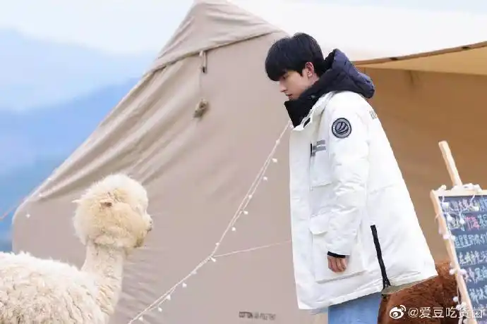 追星星的人郭俊辰恐高又怂又好奇