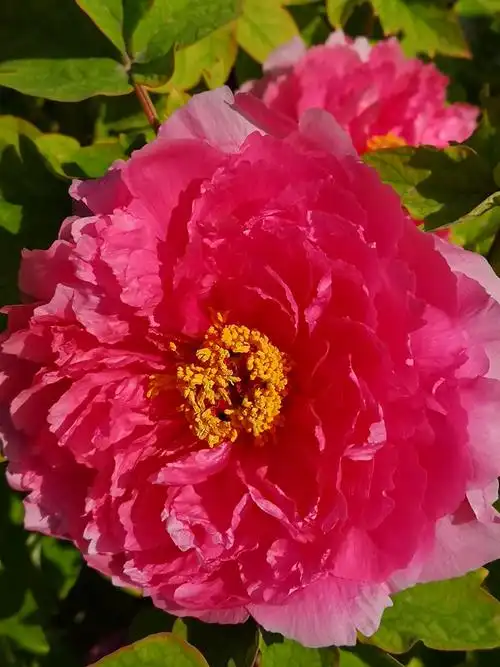 原南舰自动化战友洛阳之行