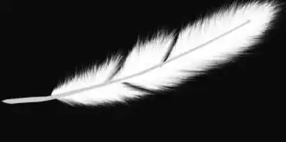 太吓人了一根鸡毛就能打开你家的锁