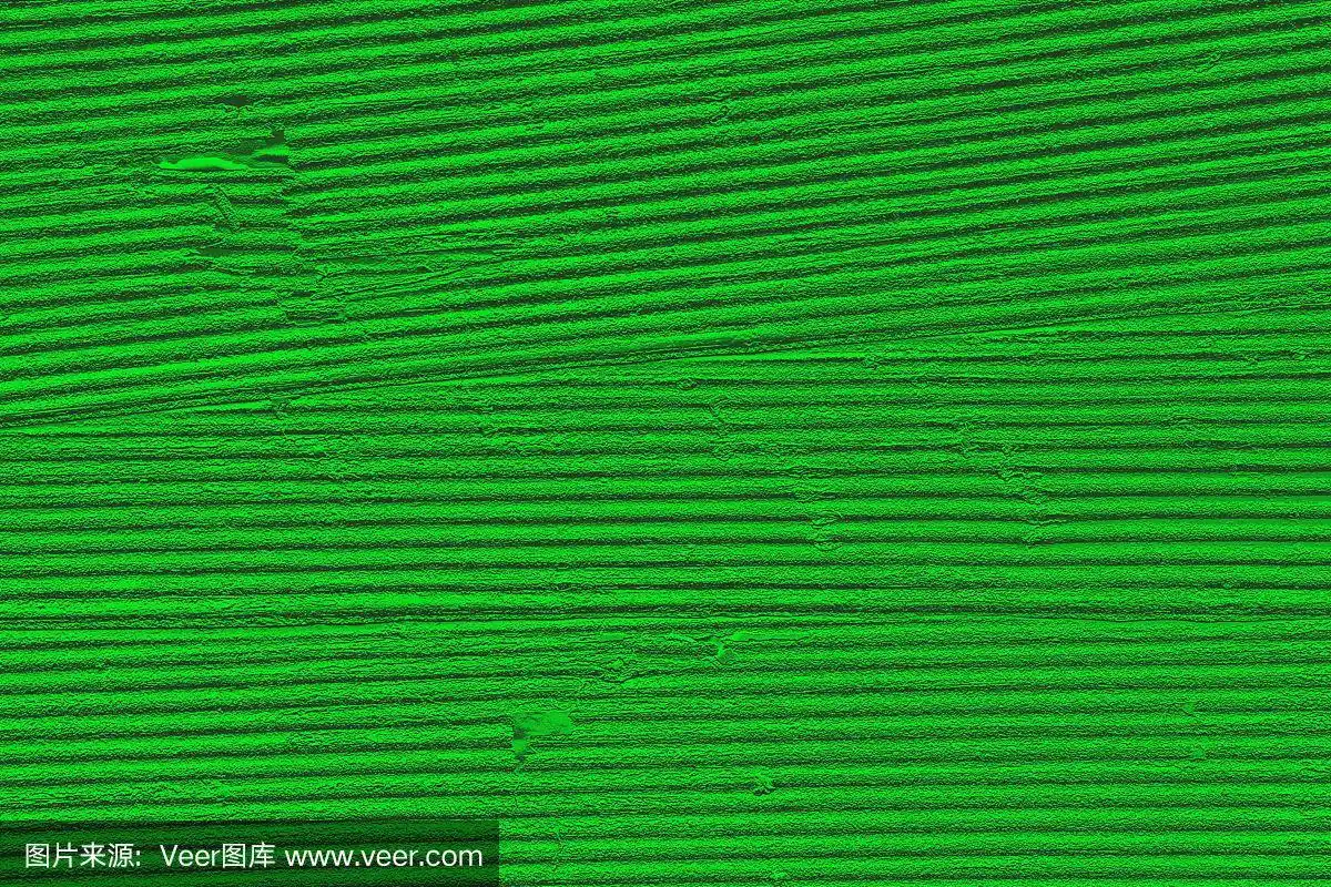 深绿色纹理图案抽象背景可以用作墙纸屏幕保护封面页或圣诞卡背景或
