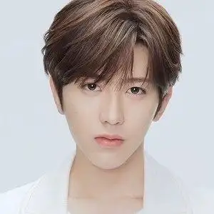 有同款男中刘海款帅气2pd分徐蔡蔡徐坤坤你同男假发假发青春短发