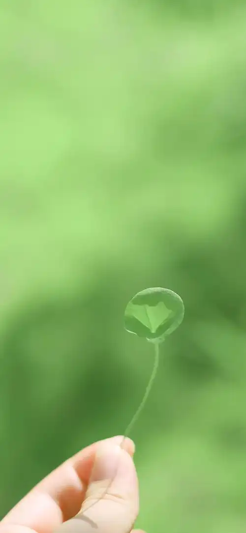 可以推荐一些好看到炸的手机壁纸吗? - 知乎