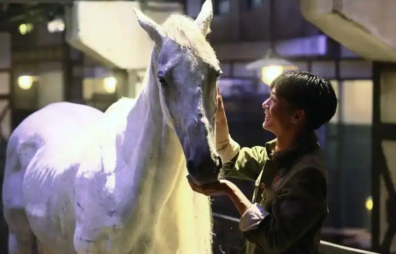 他是《八佰》中的"白马少年",也是稳扎稳打的质感演员张宥浩