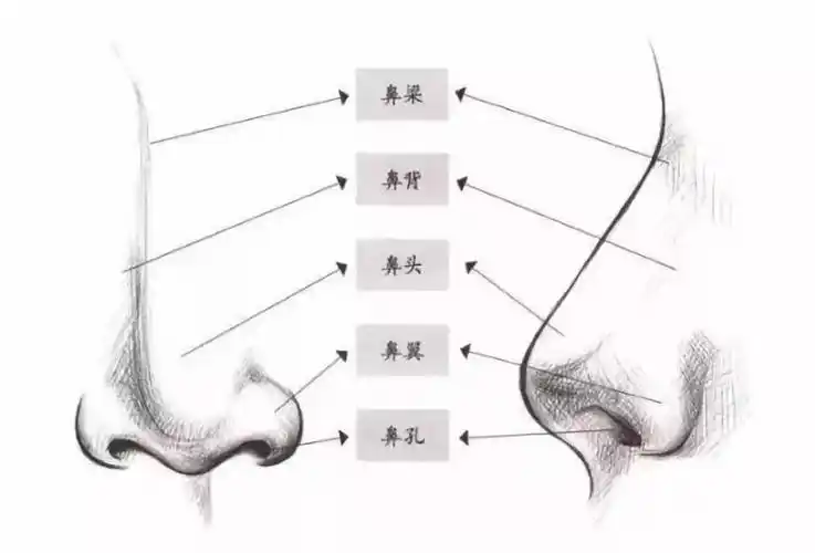 做完鼻子手术为什么要贴胶布有什么用