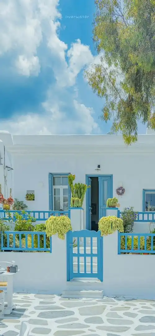 壁纸小清新|谢谢你欣赏我不为人知的小角落