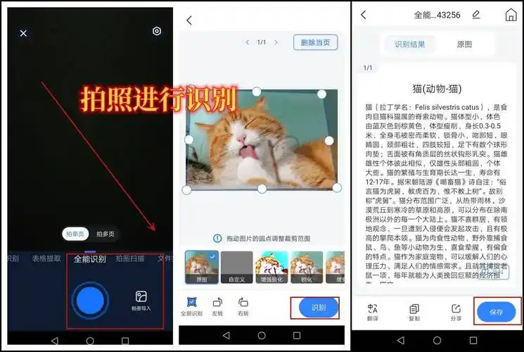 在线图片识别怎么用?这4款识别软件,一看就会