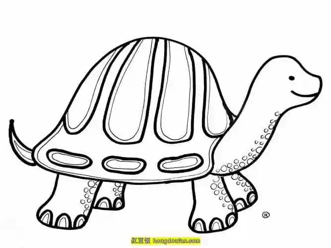 7张手绘小乌龟小海龟小陆龟卡通儿童简笔画