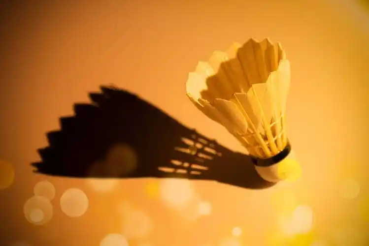 羽毛球运动,不仅仅是一场力量与速度的较量,更是一次智慧与策略的角逐