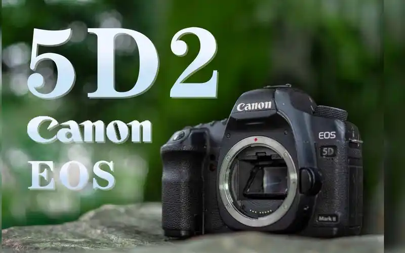 听说,这台相机曾经是个传奇 【佳能 eos 5d2】