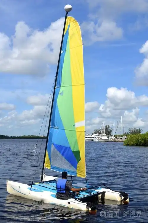 小型帆船双体船巡航在沙笛湾附近的圣露西港