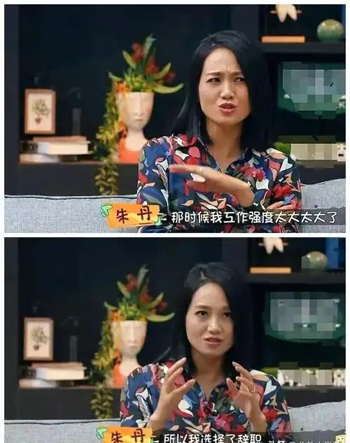 从谢娜到乐嘉,人最大的愚蠢,就是错把平台当本事