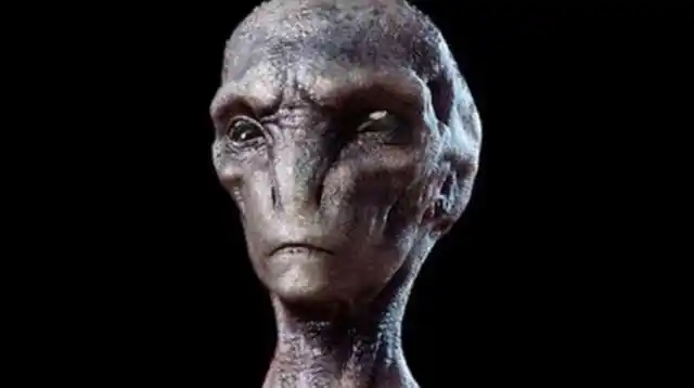 外星人到底长啥样?它和人类有何区别?脑袋真大得像倒置的梨?