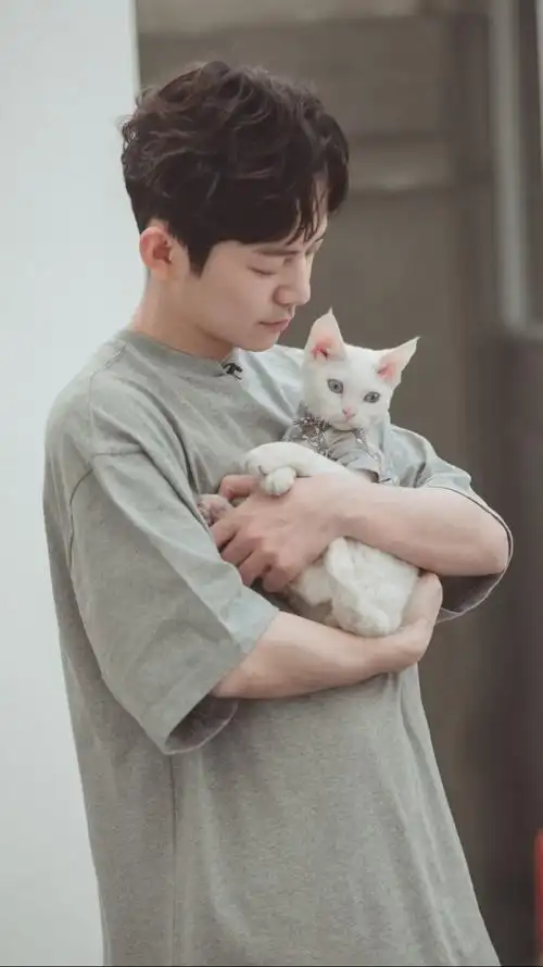 何炅- 堆糖,美图壁纸兴趣社区