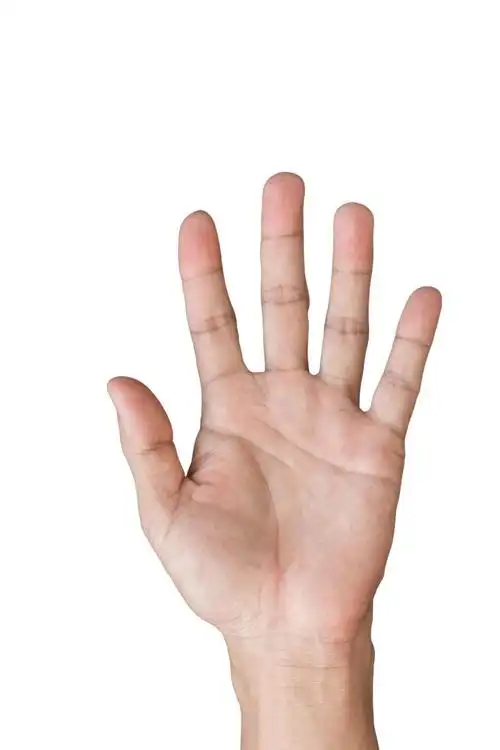 白色背景下的手掌