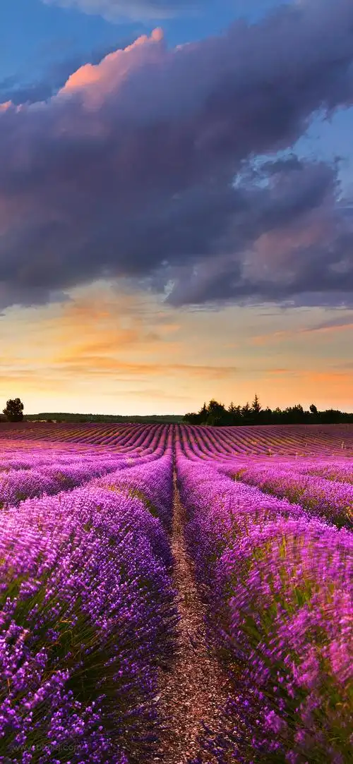 手机高清壁纸4k全屏风景