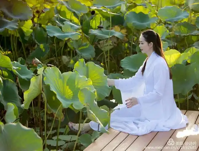 足间都是徐志摩的"最是那一低头的温柔,恰试一朵水莲花不胜凉风的娇羞