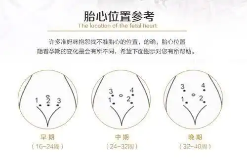 胎心看男女"备孕管家"-第1张图片-飘零博客