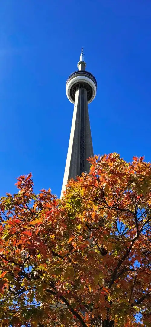 多伦多风景(二)