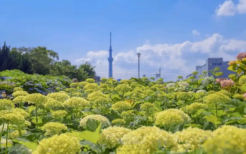 日本夏日风光网红ins潮图壁纸-风景壁纸 - 壁纸之家