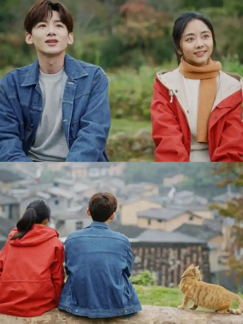 《我们的新时代》——揭秘基层青年党员的热血奋斗,白敬亭,谭松韵演绎