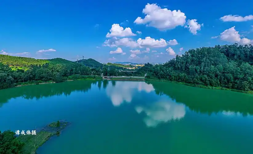 2021年中国企业pct国际专利申请top100汇顶科技以218件位列第21