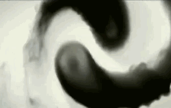 从春到夏‖我们一起学练太极