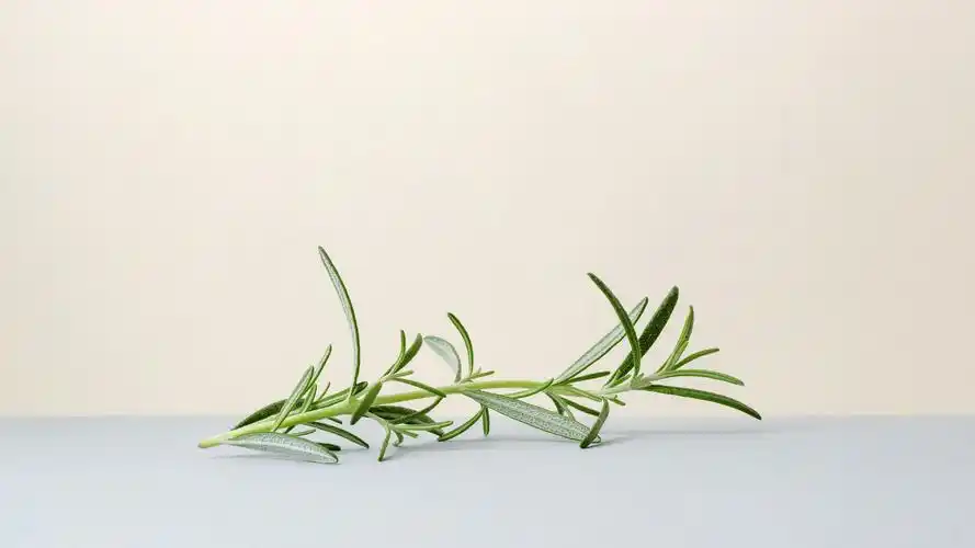 简约淡雅壁纸65