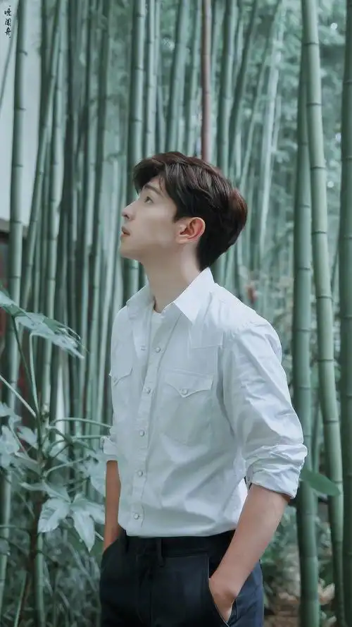 邓伦- 堆糖,美图壁纸兴趣社区