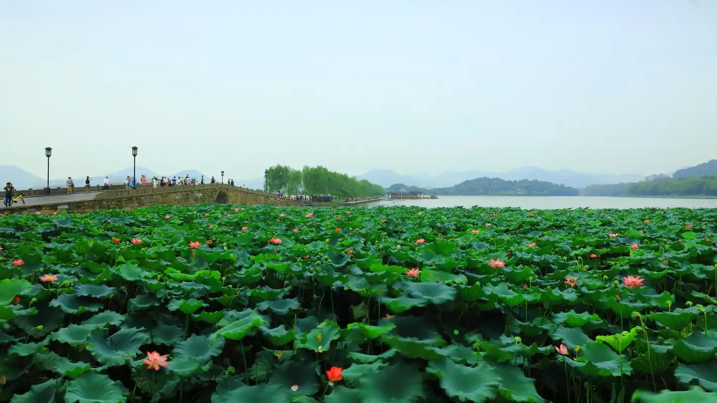 杭州西湖美景摄影高清宽屏桌面壁纸