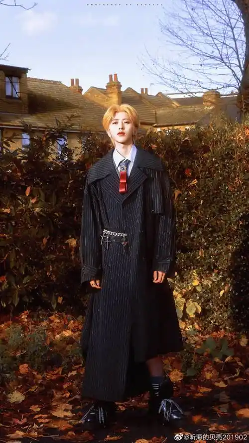秋日男友氛围感明星#蔡徐坤秋冬大衣风衣穿搭满满秋日男友氛围感