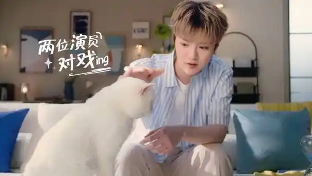 打开甄稀度个小假##鹿晗的小假##别告诉鹿晗家的猫