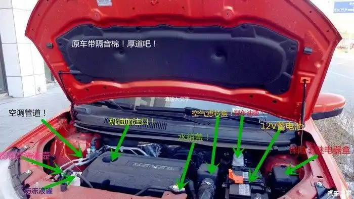 防冻液从哪个口加?