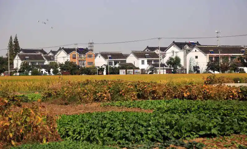 来自侃话的圈圈