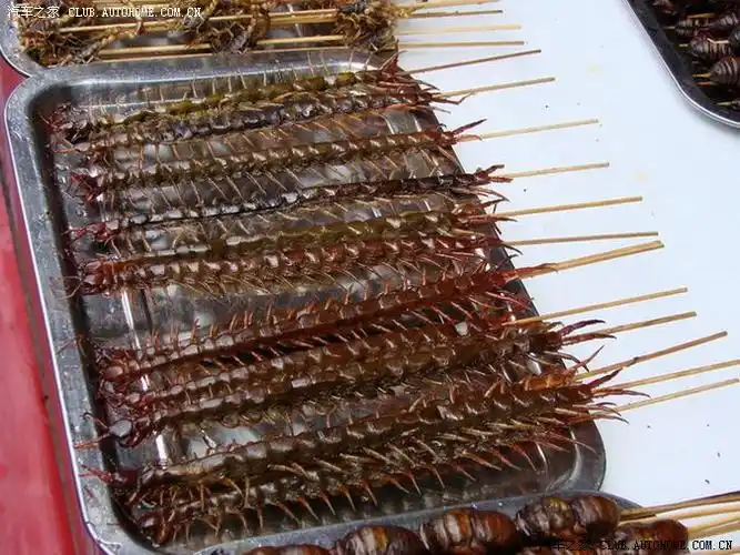 油炸蜈蚣虫