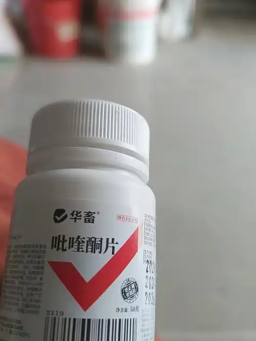 华畜吡喹酮驱虫药兽用鸡猪牛羊脑包虫绦虫打虫药吡喹酮片羊猫狗用