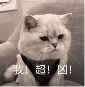 萌宠猫星人我超凶凶巴巴搞怪呆萌gif动图_动态图_表情包下载_soogif