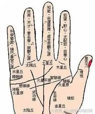 你的食指和无名指哪个长 怎么看食指和无名指哪个长