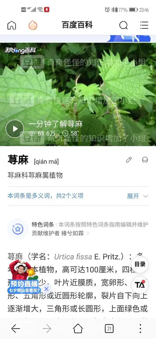 关于荨这个字的读音