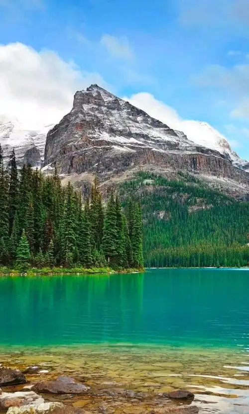 绿水青山就是我们的金山银山(图)