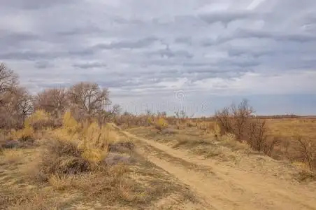 沙春季干草原照片